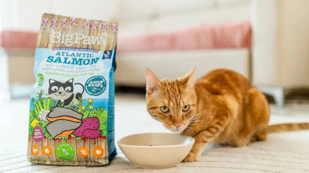 How Many Calories In Temptation Dry Bag Cat Food