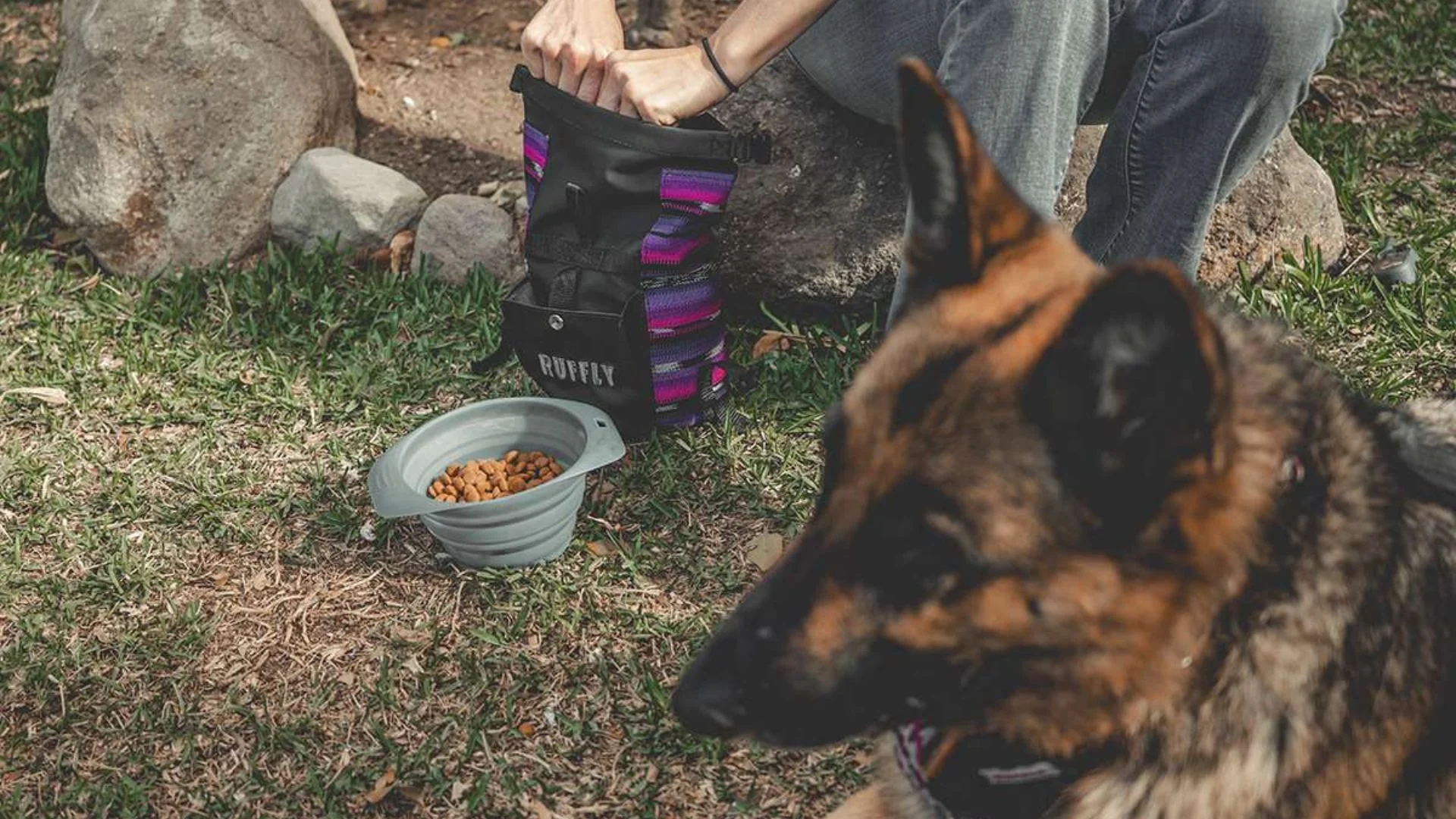 Are Dog Food Bags Waterproof