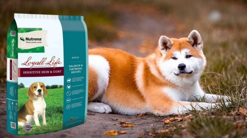 Is Nutrena A Good Dog Food