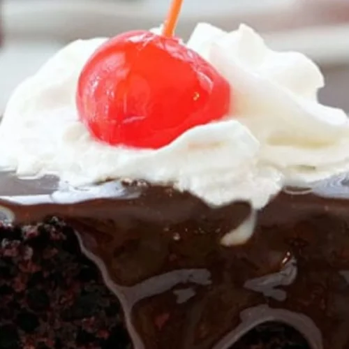 Shoneys Hot Fudge Cake Recipe