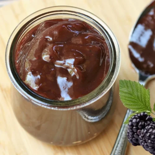 Blackberry BBQ Sauce Recipe