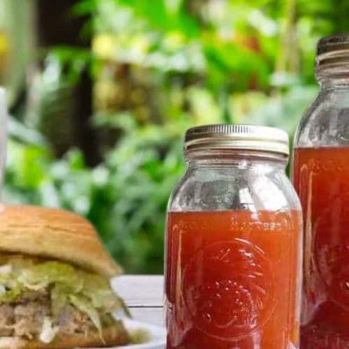 Carolina Vinegar BBQ Sauce Recipe