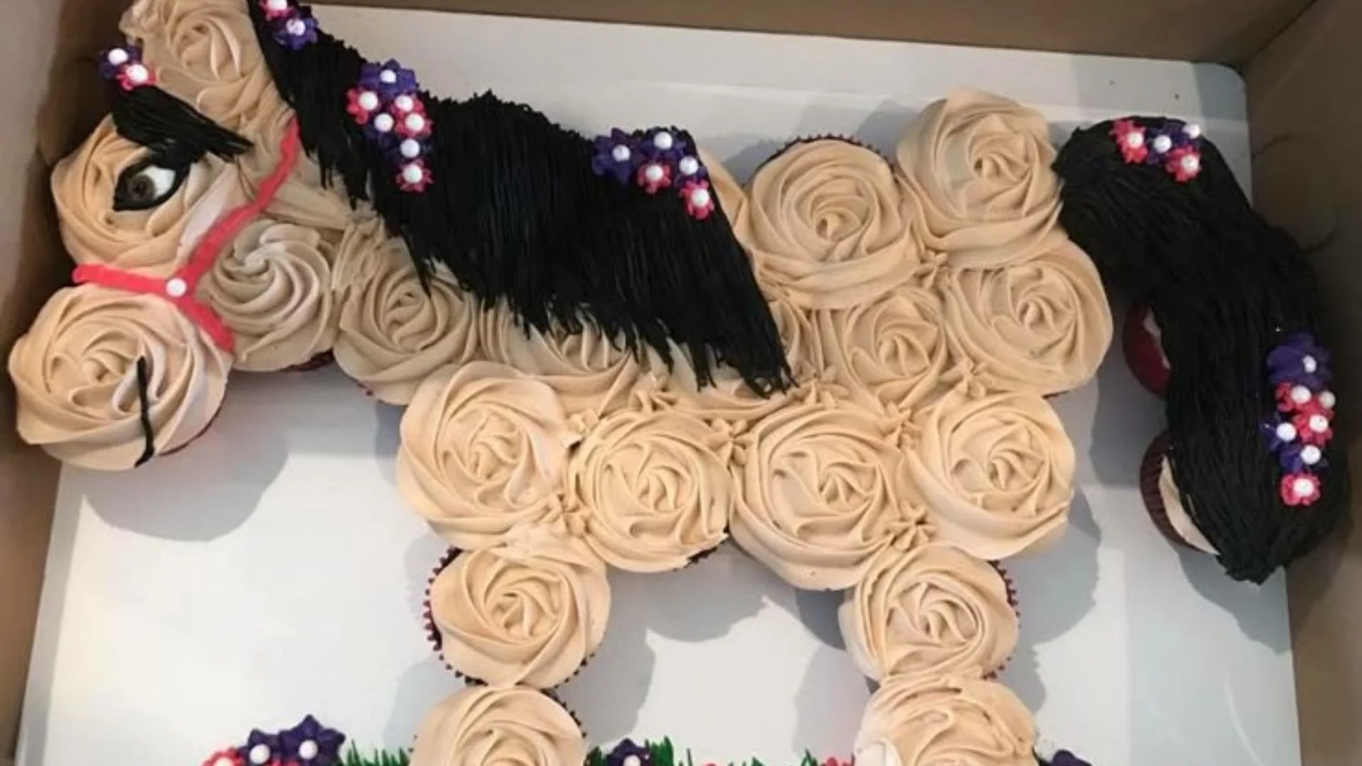 Cake Recipes for Horses