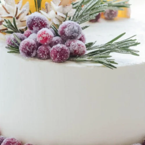 Christmas Cake Recipe With Cranberries