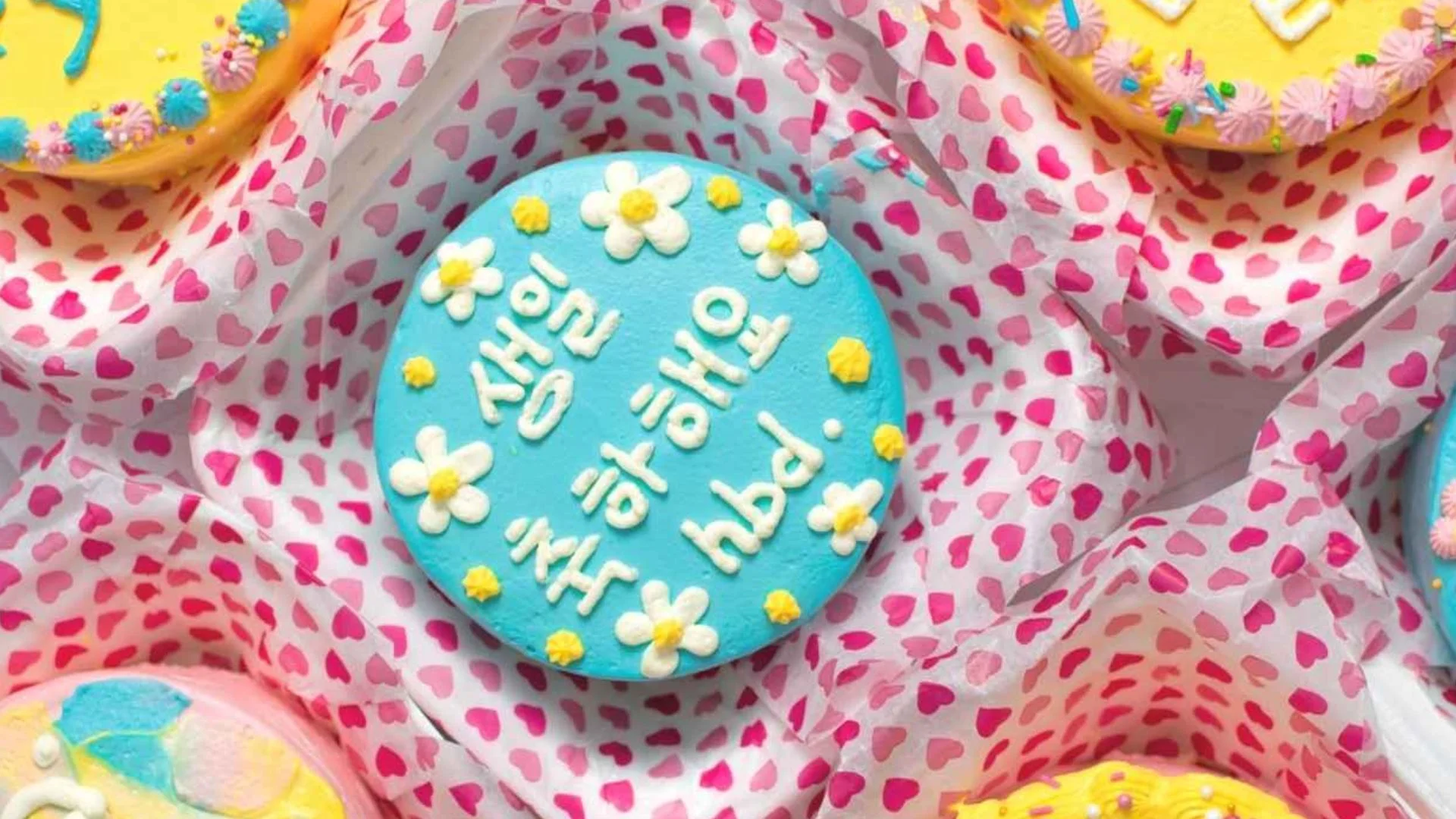 Korean Lunchbox Cake Recipe